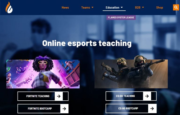 Copenhagen Flames Online Esports Teaching